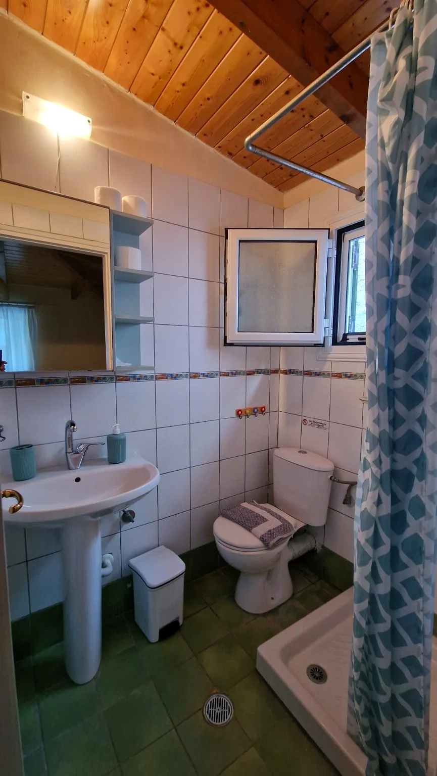 Bathroom with shower, window and pedestal basin at Il Prato, Villa Vanda