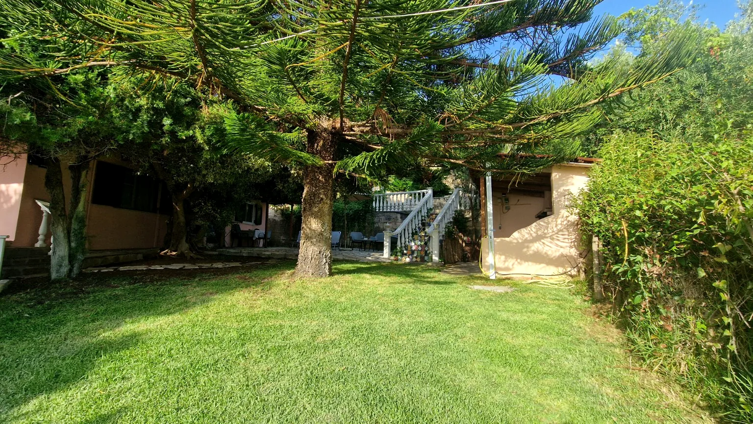 Main garden with mature pine tree at Il Prato, Villa Vanda in Lygia, Preveza